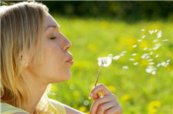 60 % à 80 % de réussite pour les allergies aux pollens de graminées.