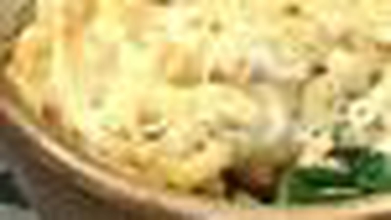 Coquillettes
