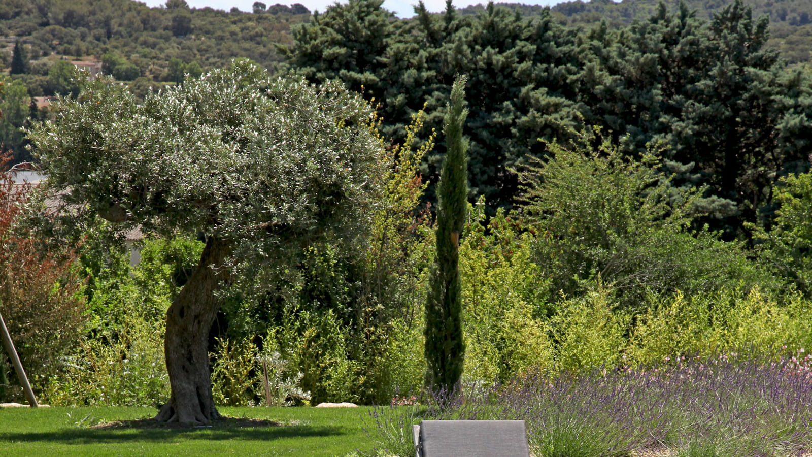 Piscine provençale