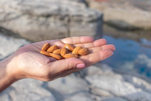 amandes-rides