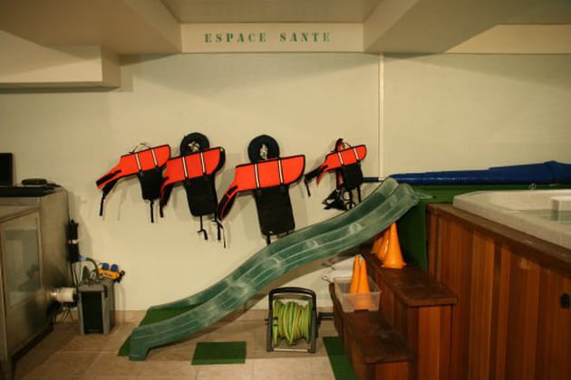 Tout pour être en pleine santé