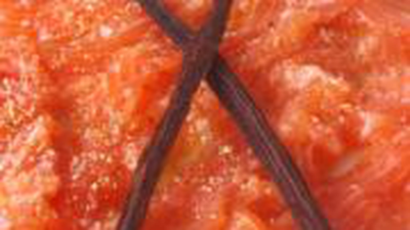 Carpaccio de saumon frais à la vanille