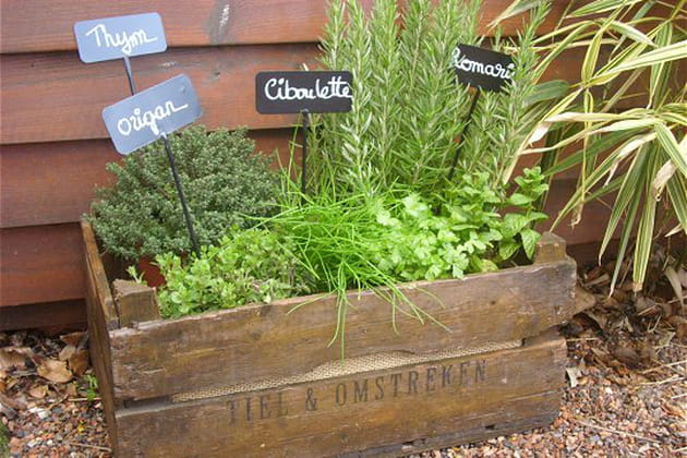 La caisse aux &eacute;pices