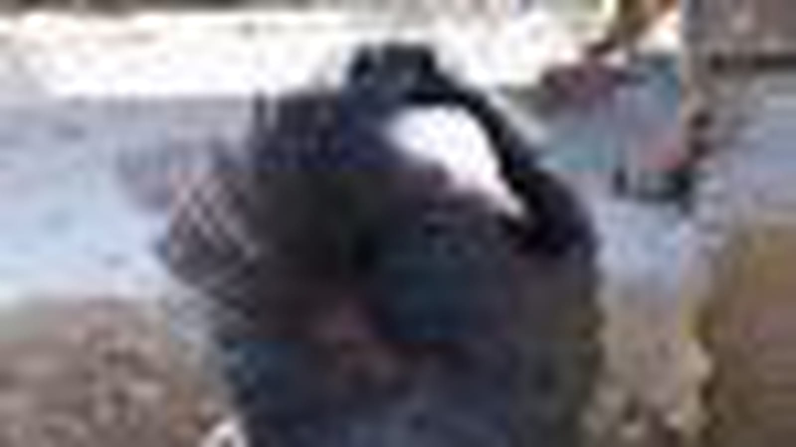 Haute voiffure