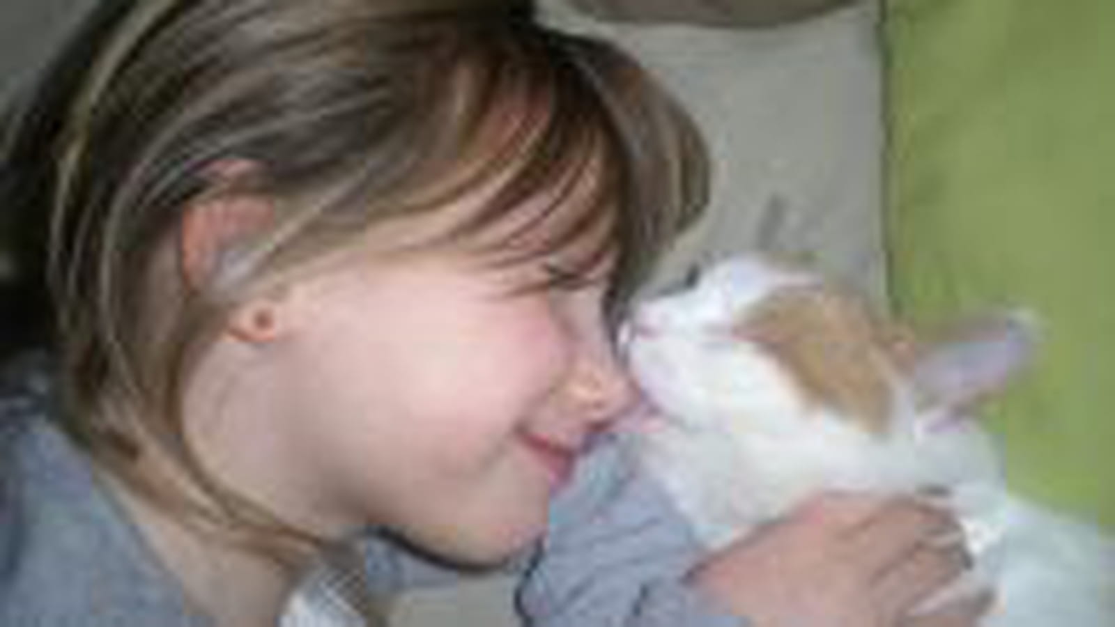 Bisou de matou