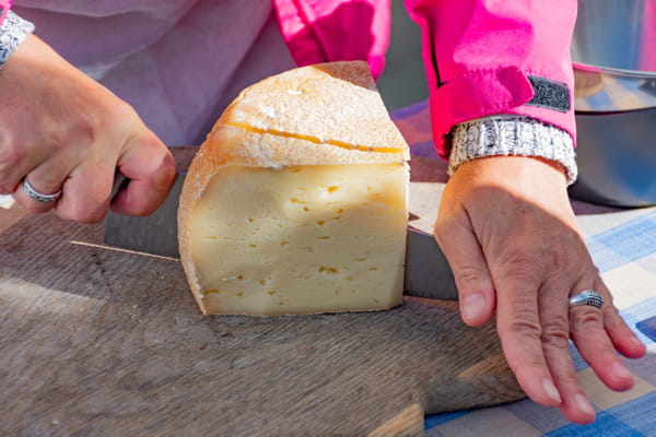 Gouda