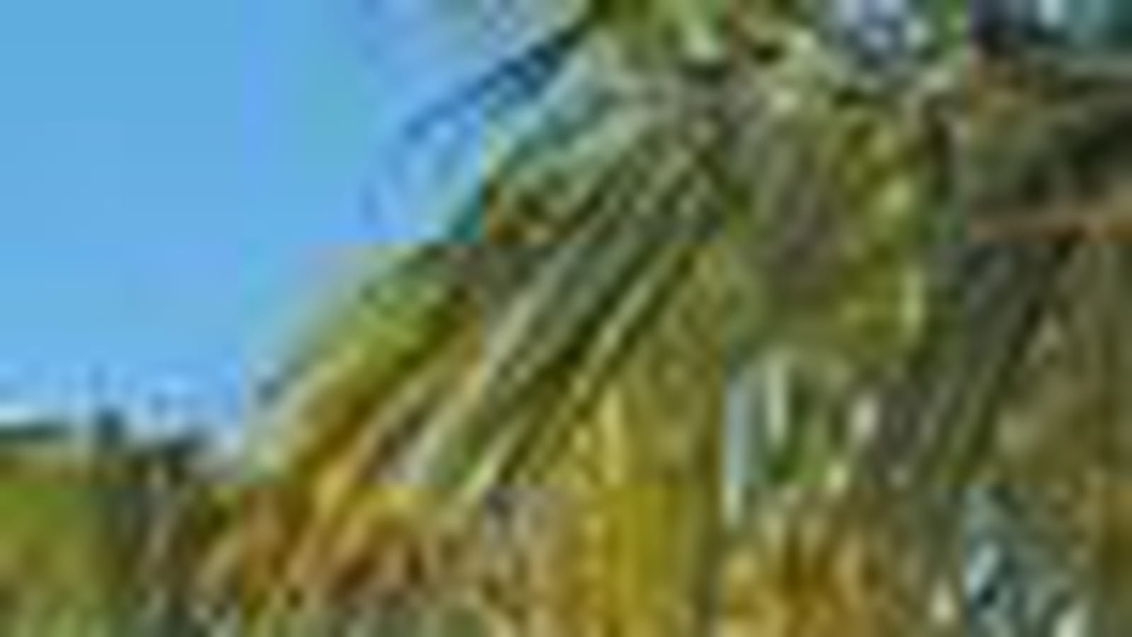 Ile Maurice