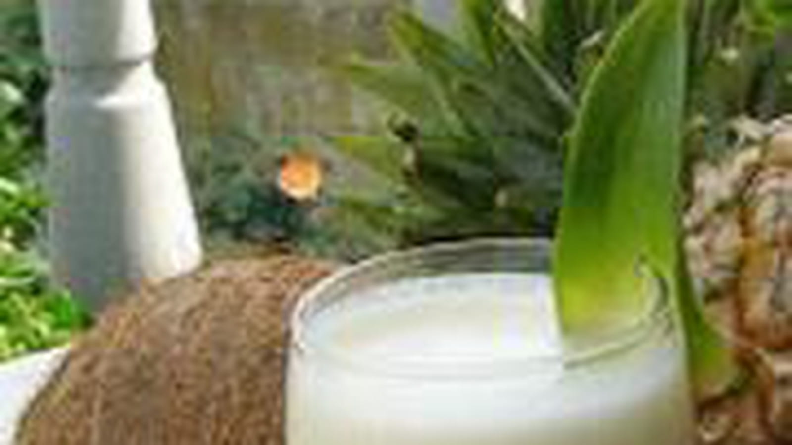 Cocktail Pina colada