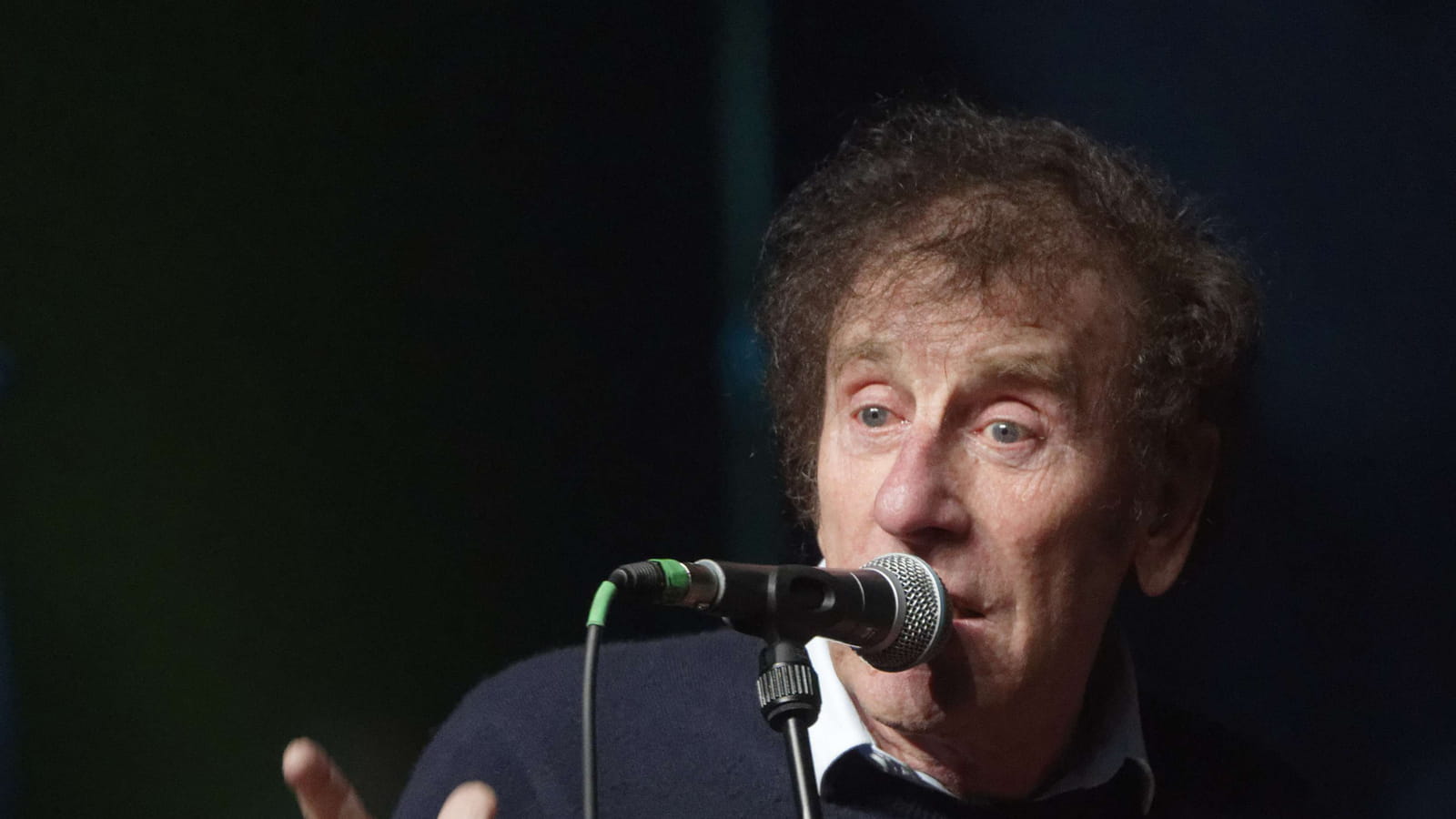 Alain Souchon 
