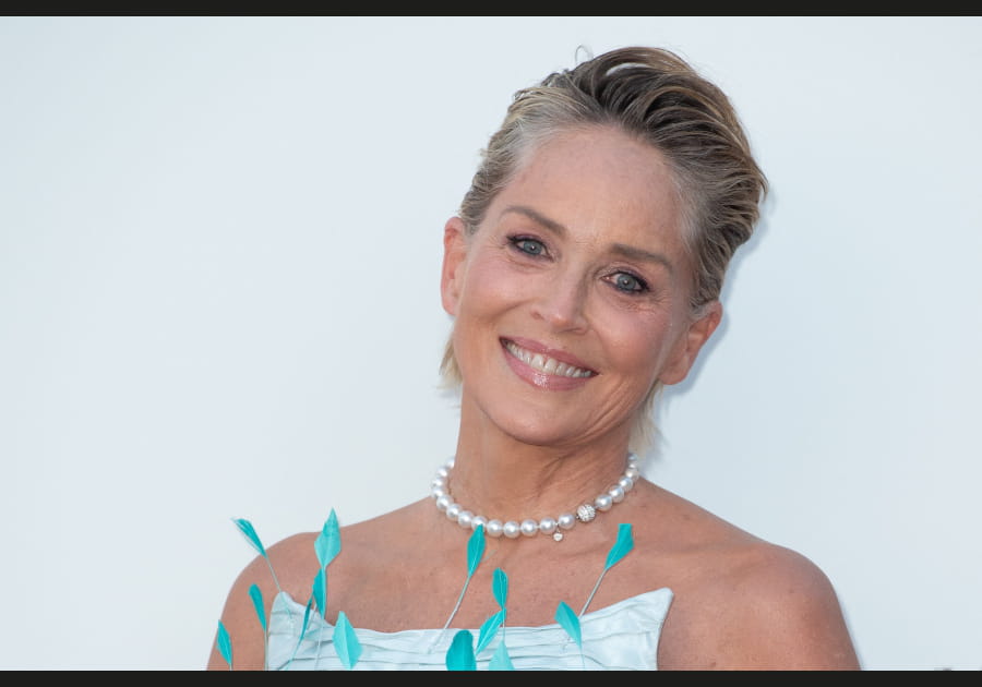 Top&nbsp;: le make-up scintillant de Sharon Stone
