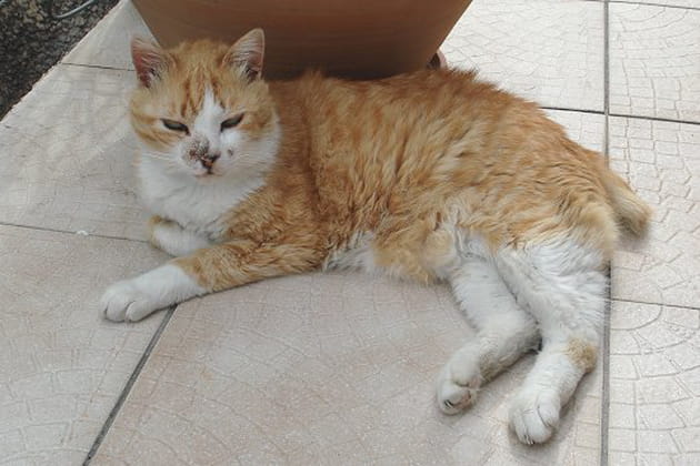 Libre et ind&eacute;pendant