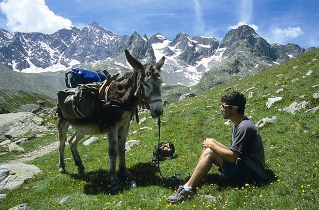 Majestueux Oisans au d&eacute;but de l'&eacute;t&eacute;