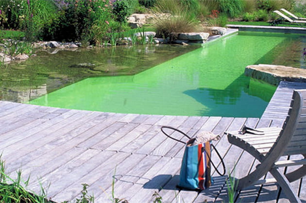 Un atout esthétique certain