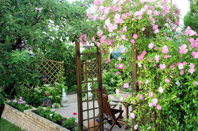 Une pergola de roses