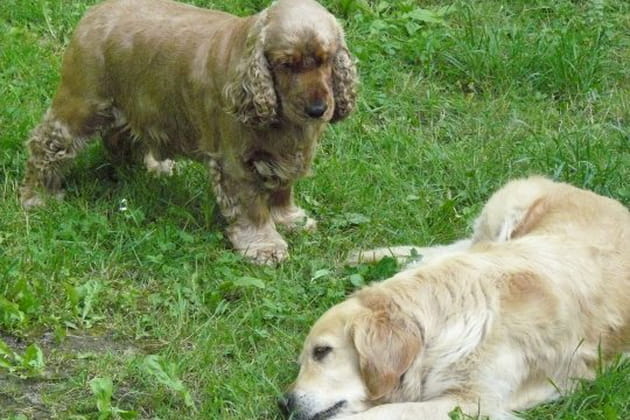Une sacr&eacute;e envie de jouer&nbsp;!