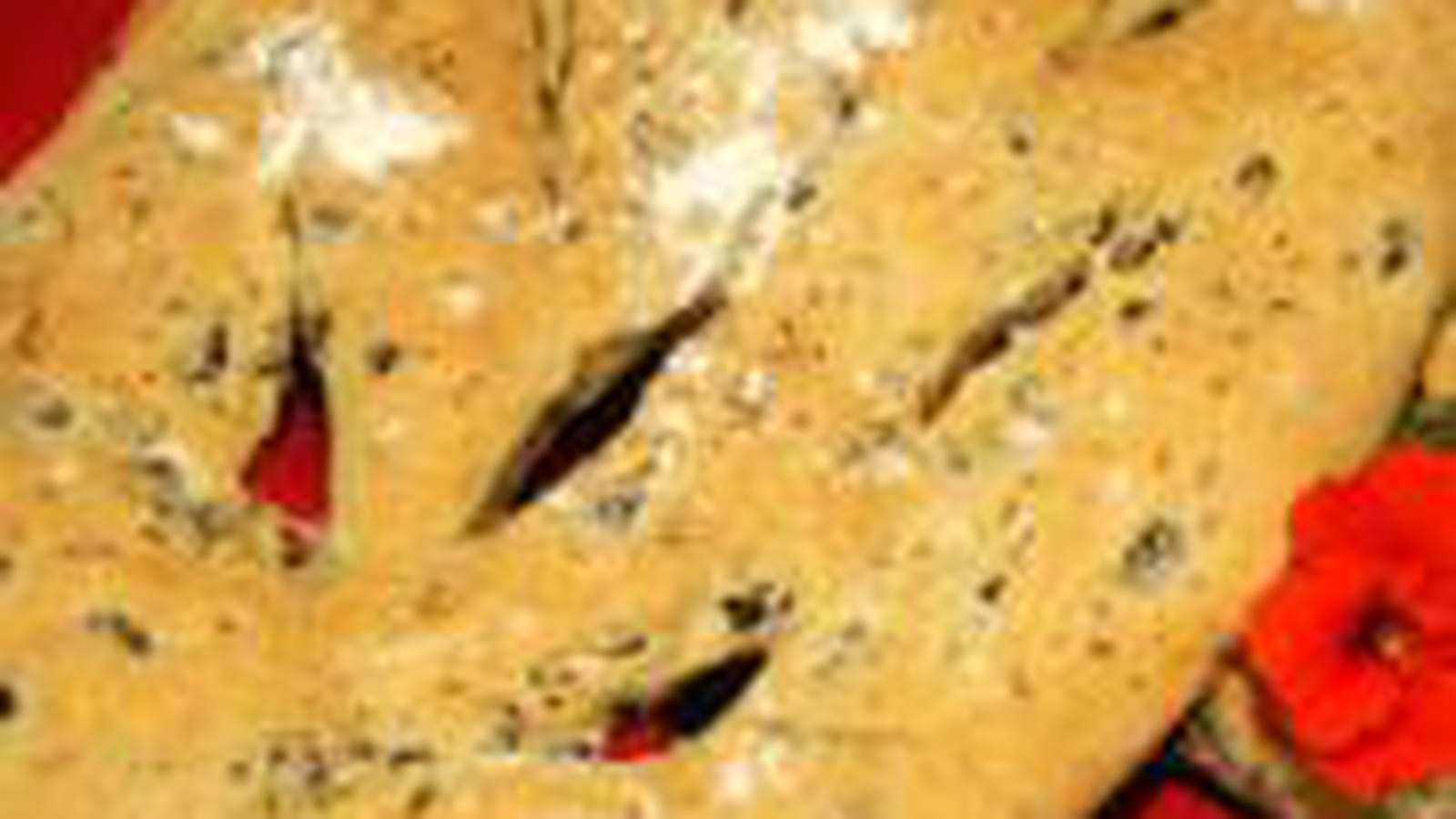 Fougasse aux olives et à la tapenade