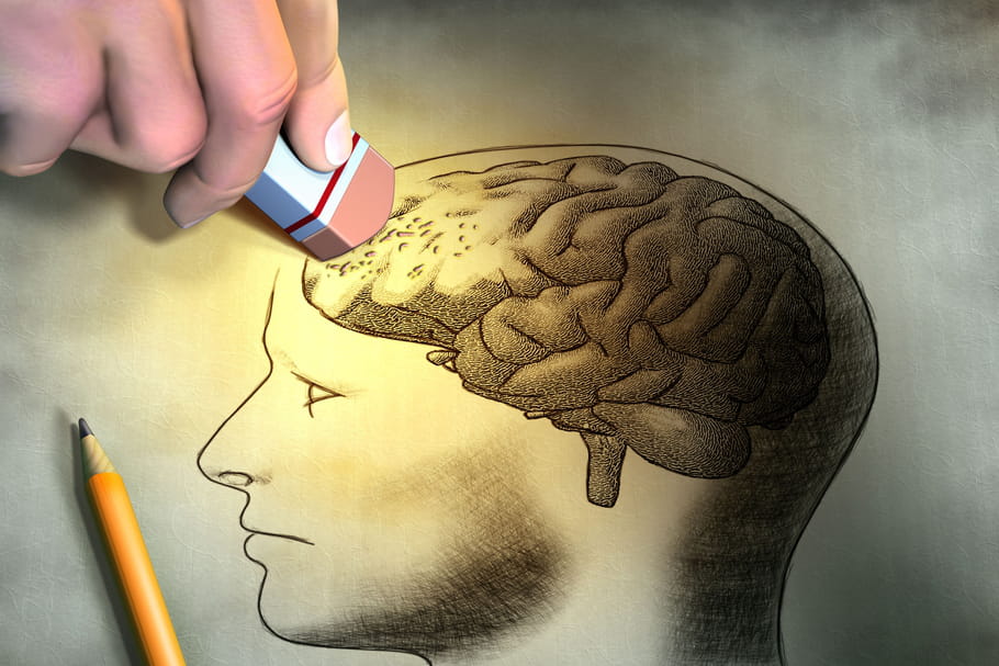 Alzheimer : causes, premiers symptômes, traitements