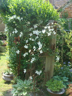 livret maria images 012