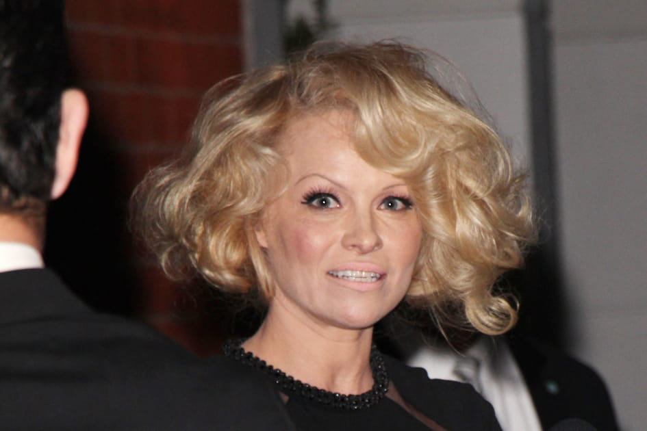 Le carr&eacute; volume de Pamela Anderson