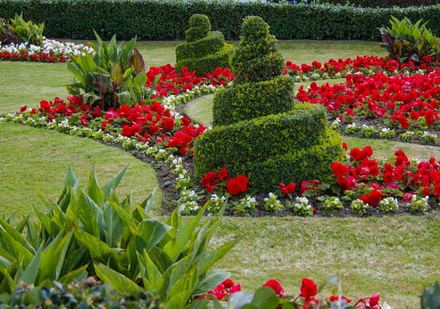 Des topiaires en spirales côté jardin