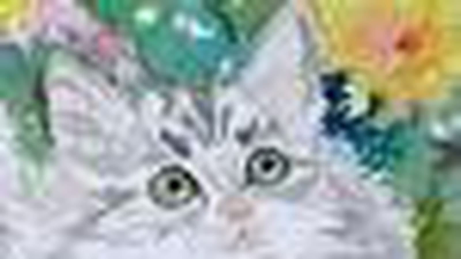 Chatons