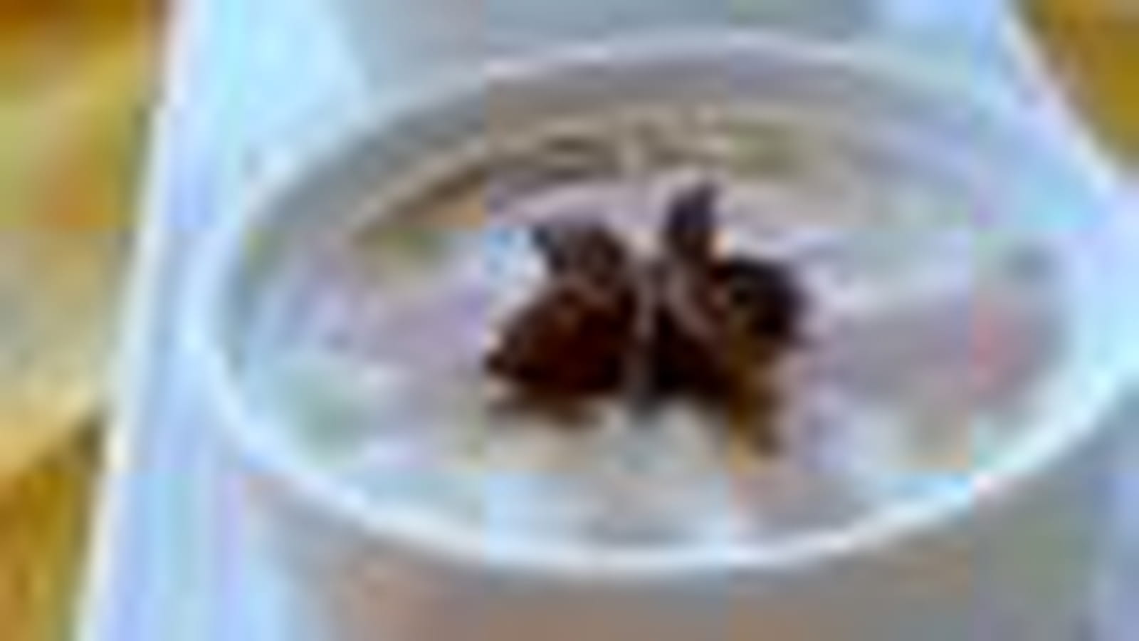 Riz au lait