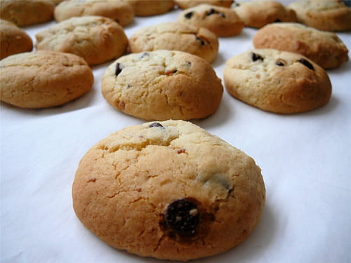 Cookies au pralin et au chocolat blanc