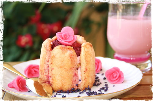 Charlotte rose-framboise