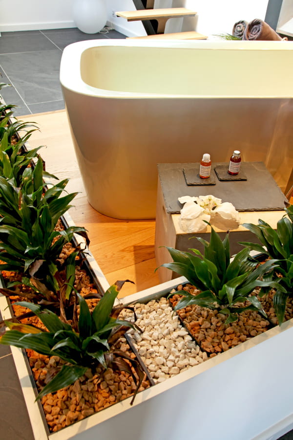 salle-de-bains-ouverte-cloison-plantes