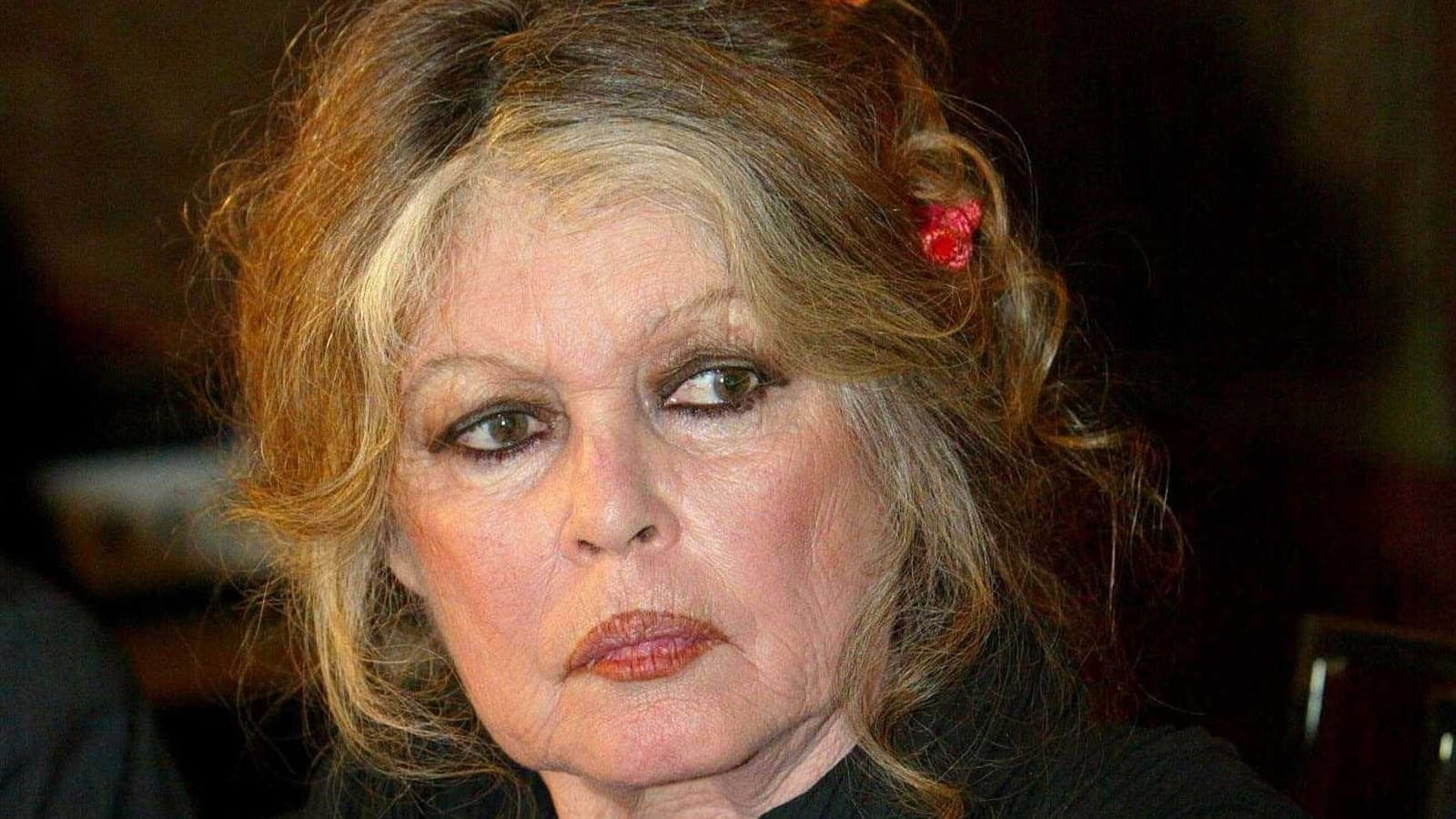 Brigitte Bardot 