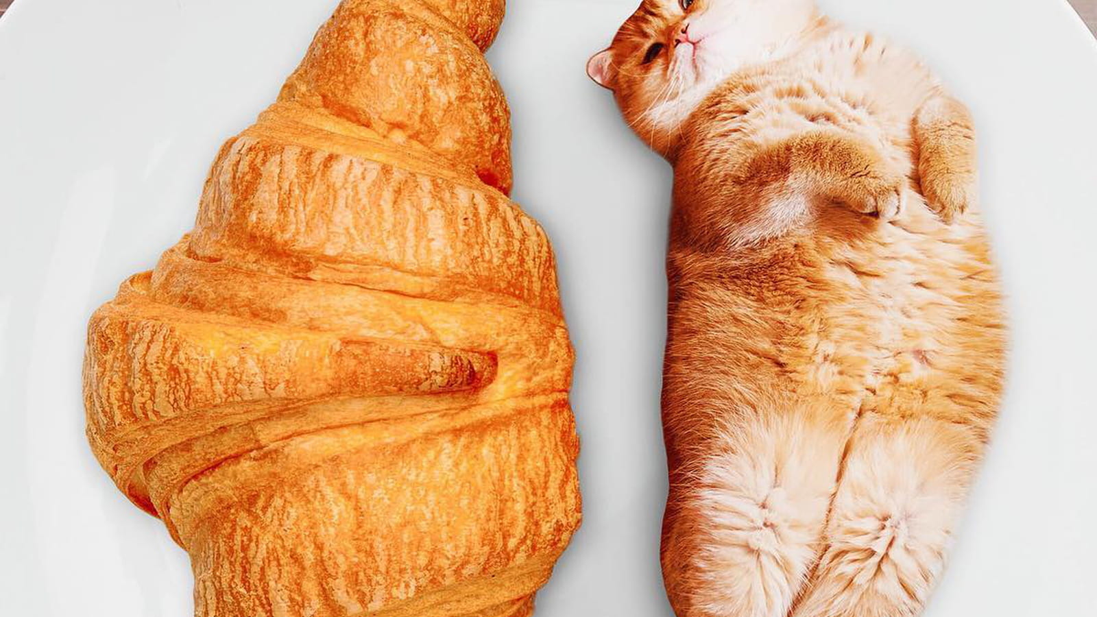 Croissant feuilleté