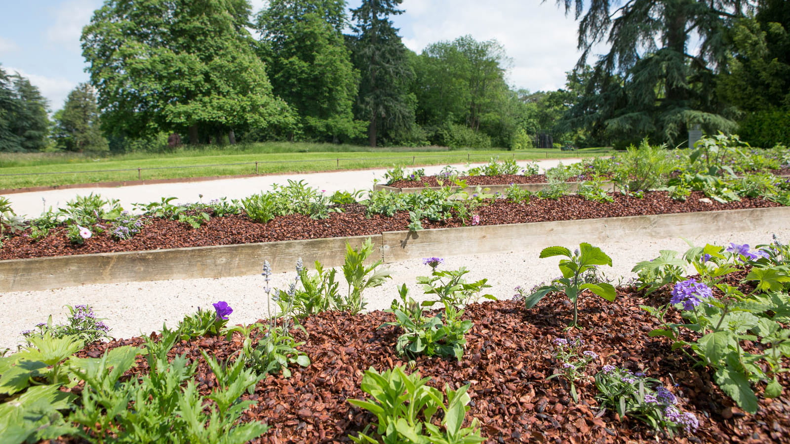 Parc de 20 hectares