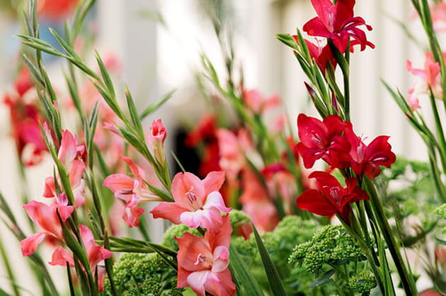 Le ros&eacute; att&eacute;nue la force du rouge