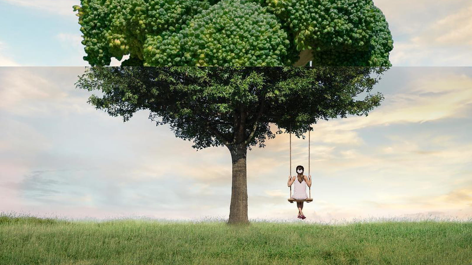 L'arbre qui cache... le brocoli