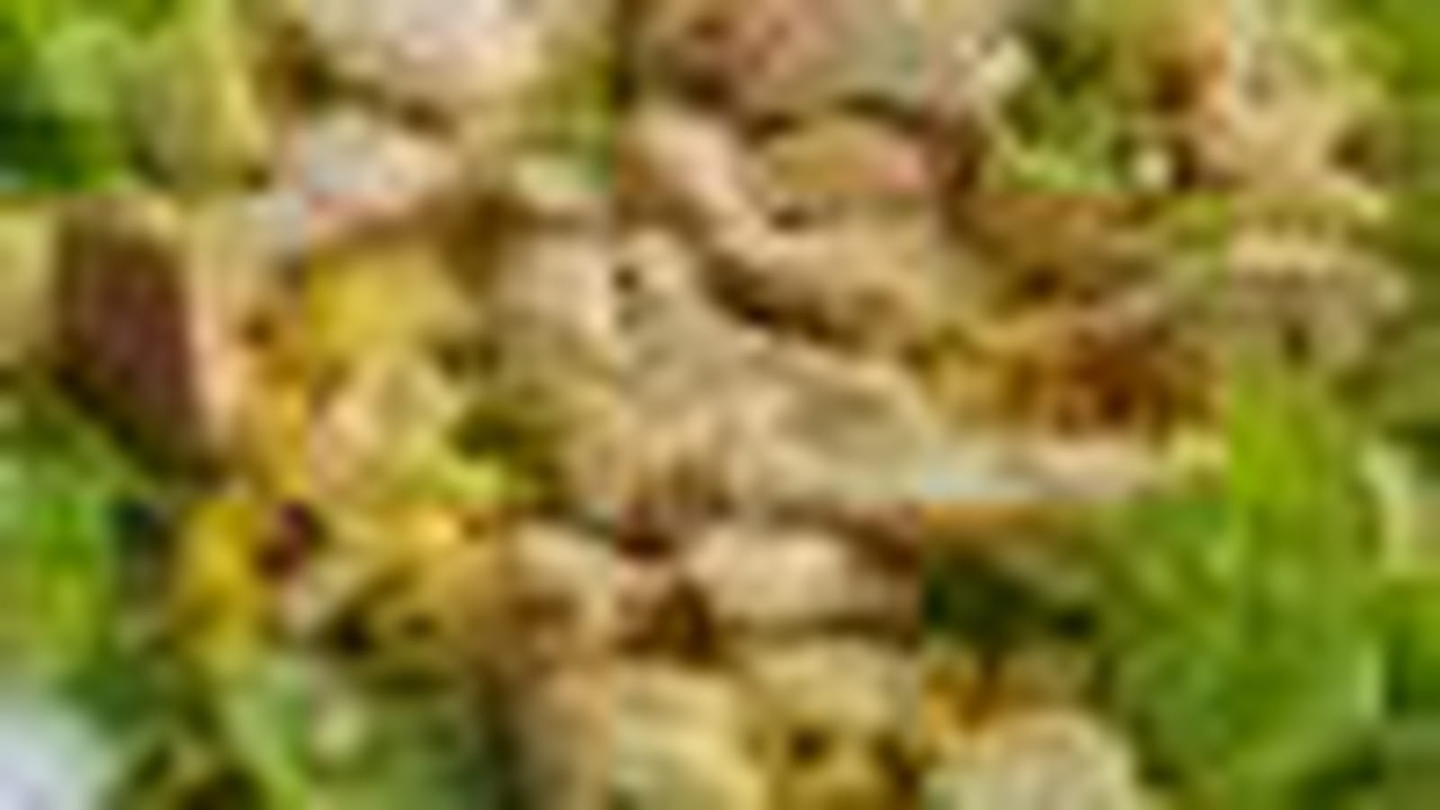 Salade composée au poulet