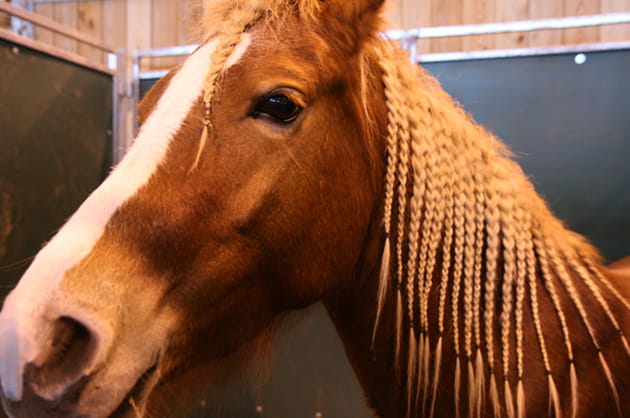 Ce soir je serai la plus belle