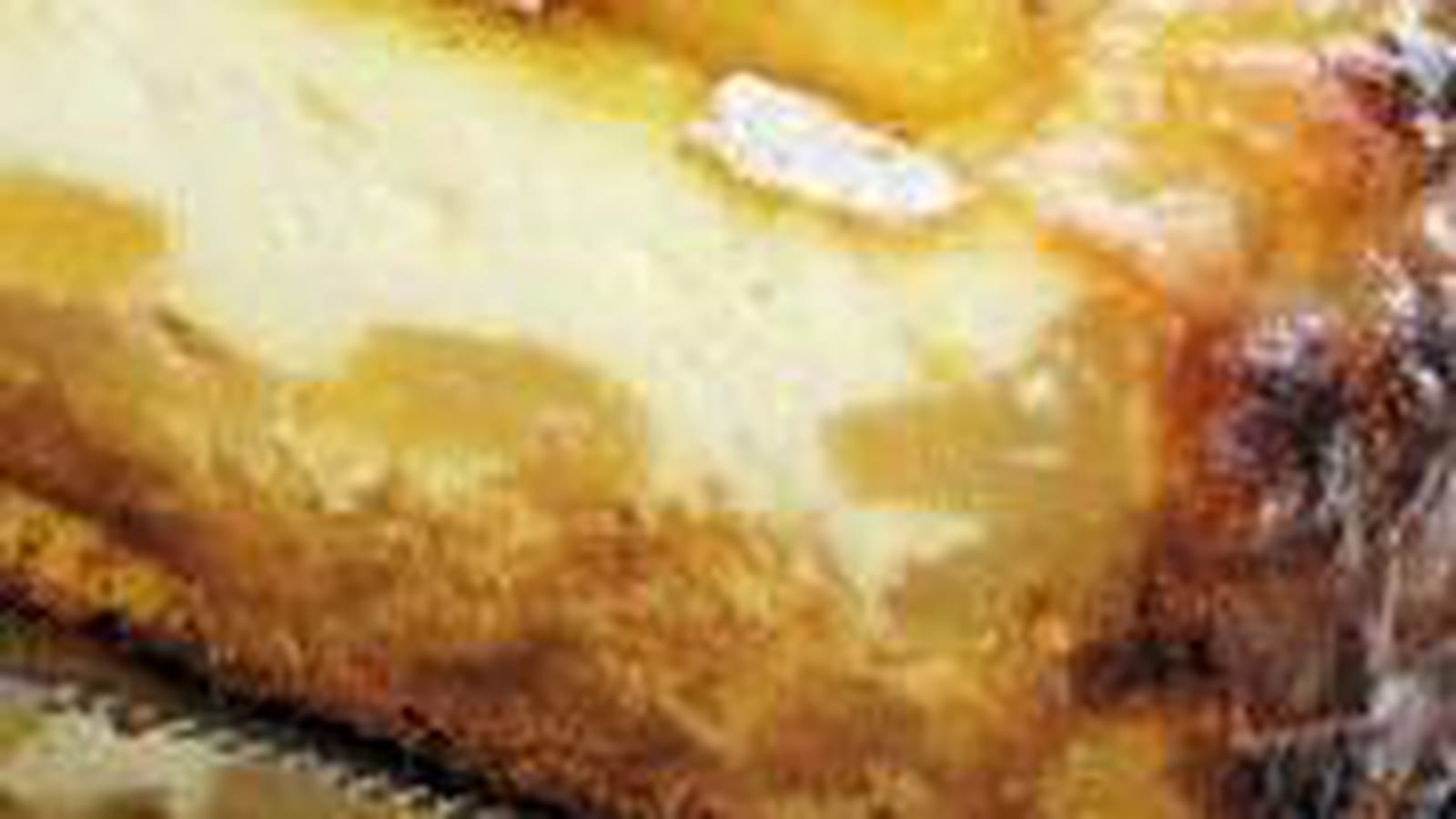 Cheesecake aux pommes