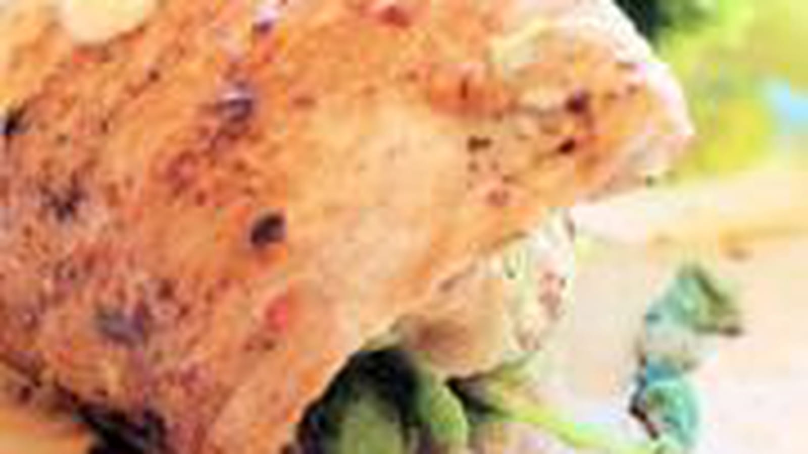 Saltimbocca figues et gorgonzola