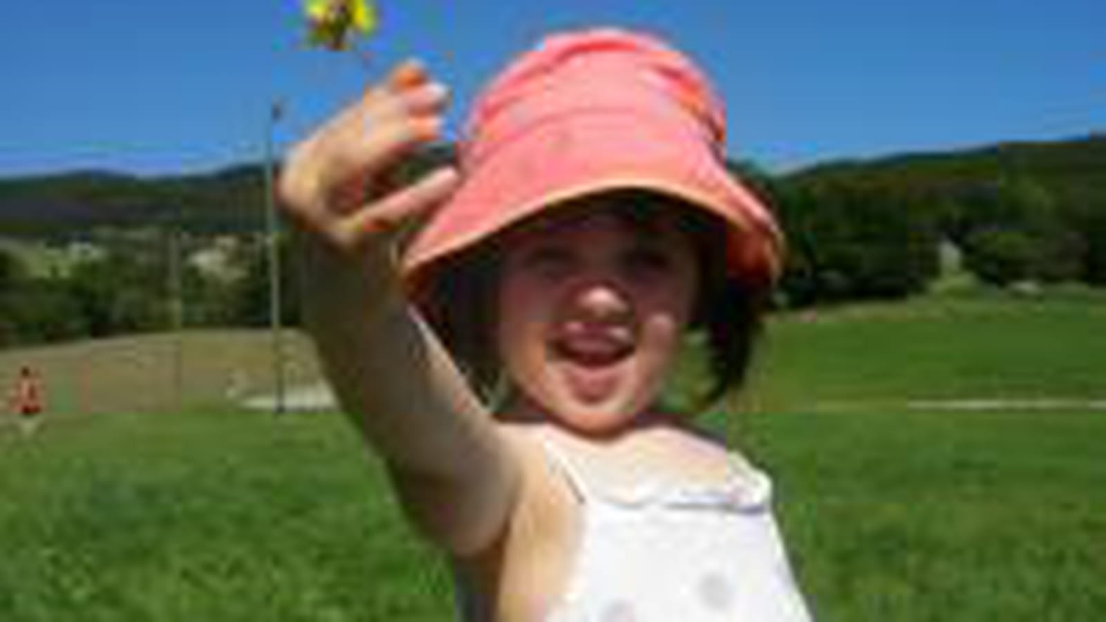 Lou, les fleurs et la montagne