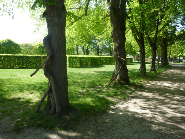 Une all&eacute;e de gardiens