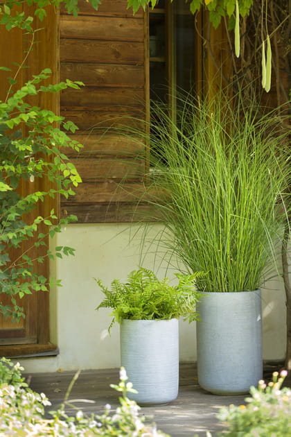 Pot rond haut Stream Mica par Botanic