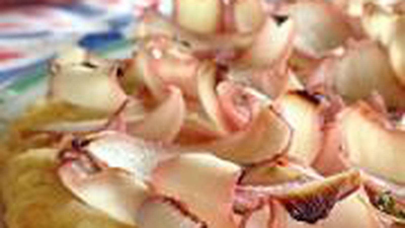 Tarte aux oignons marinés