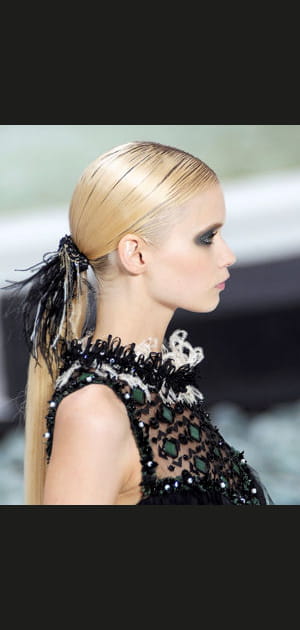 Queue de cheval &agrave; plumes