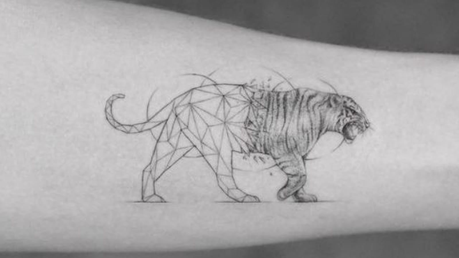 Tigre géométrique sur l'avant-bras