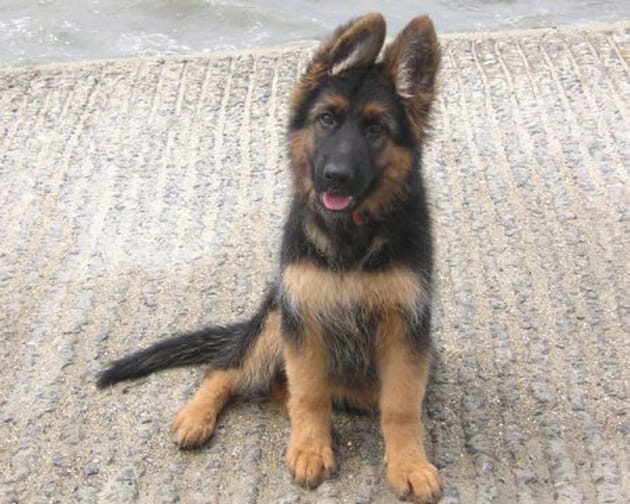 Qu'est-ce qu'on fait&nbsp;?