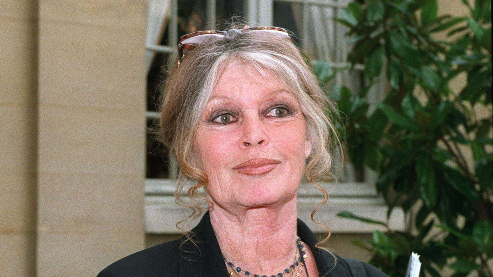 Brigitte Bardot