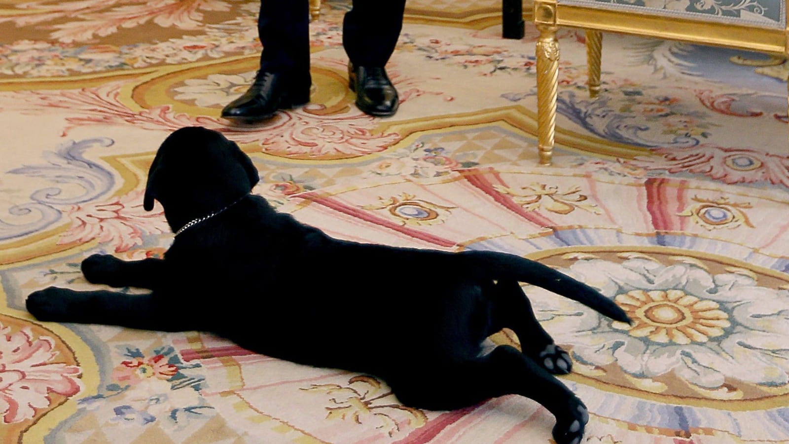 François Hollande et Philae