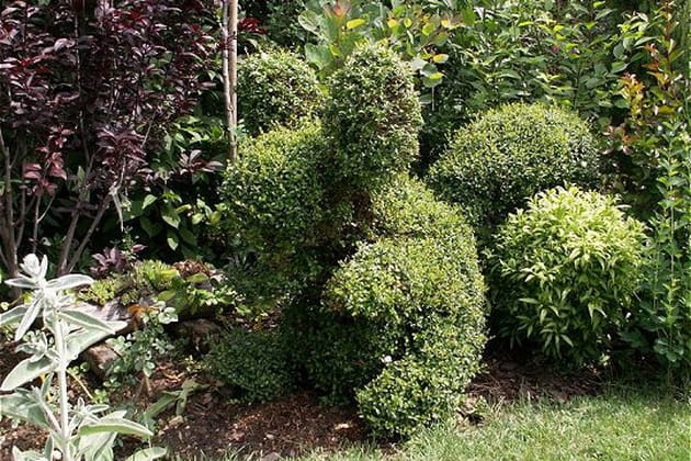 Le nounours de Claudette