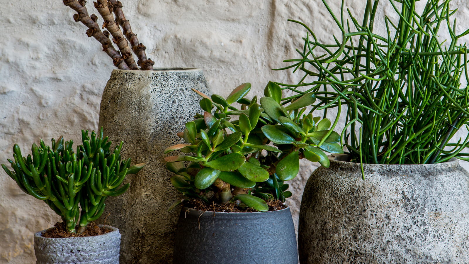 Caches-pots Blompot AM.PM.