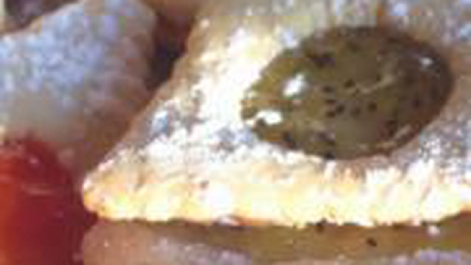 Lunettes à la confiture